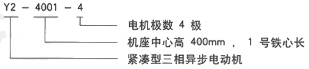 YR系列(H355-1000)高压YRKK5602-8三相异步电机西安西玛电机型号说明